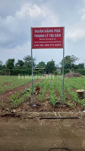 Công ty đấu giá hợp danh Sao Việt