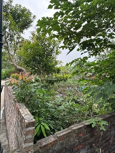 Bán đất thôn Lại Đà- Đông Hội- Đông Anh- Hà Nội