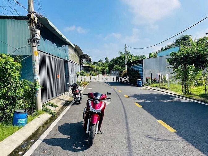 ĐẤT MT ĐƯỜNG TT CỦ CHI 338M2 FULL TC SHR CHỦ NGỘP BÁN GẤP 830TR CÒN TL