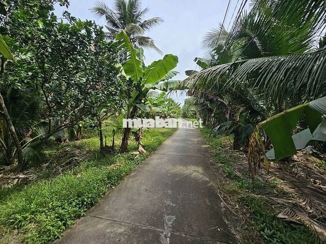 Đất vườn nghỉ dưỡng Phú Khương mới 3,6 công