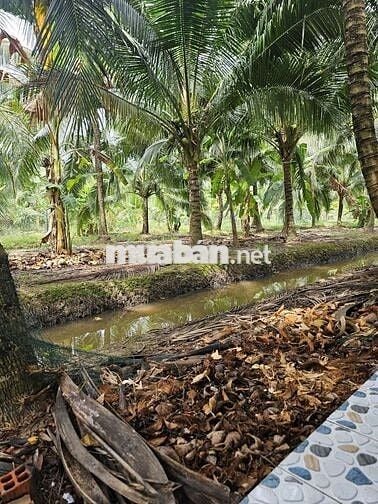 Đất vườn nghỉ dưỡng Phú Khương mới 3,6 công