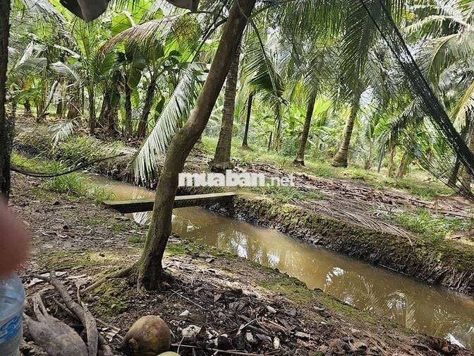 Đất vườn nghỉ dưỡng Phú Khương mới 3,6 công