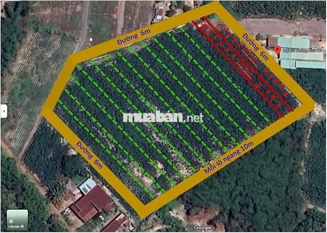 Bán trang trại khu nghỉ dưỡng tại Cầu Khởi, DMC, Tây Ninh