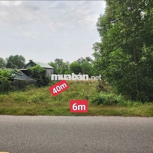 Bán đất xây trọ sát kcn Đất Đỏ, mặt tiền 6m cách biển Lộc An 4km