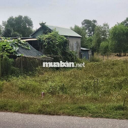 Bán đất xây trọ sát kcn Đất Đỏ, mặt tiền 6m cách biển Lộc An 4km