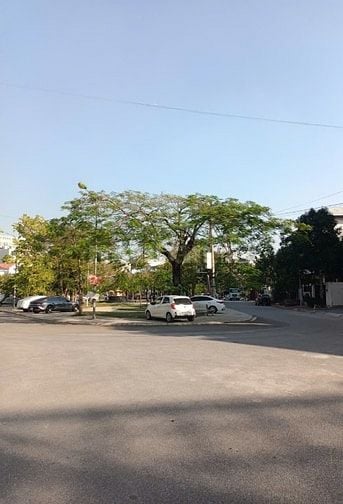 Bán biệt thự 270M xây thô tại phố Lê Thánh Tông, Võ Cường, giá 35.8 tỷ