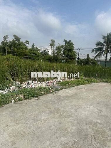 Đất Tân Quý Tây, sổ pháp lý chuẩn, dt 88m2, trường chợ đi 5p