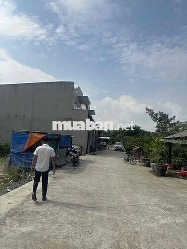 Đất Tân Quý Tây, sổ pháp lý chuẩn, dt 88m2, trường chợ đi 5p