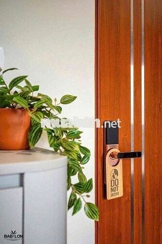 CĂN HỘ CHO THUÊ 40M2 ĐƯỜNG BÀ HẠT QUẬN 10 GẦN VÒNG XOAY LÝ THÁI TỔ