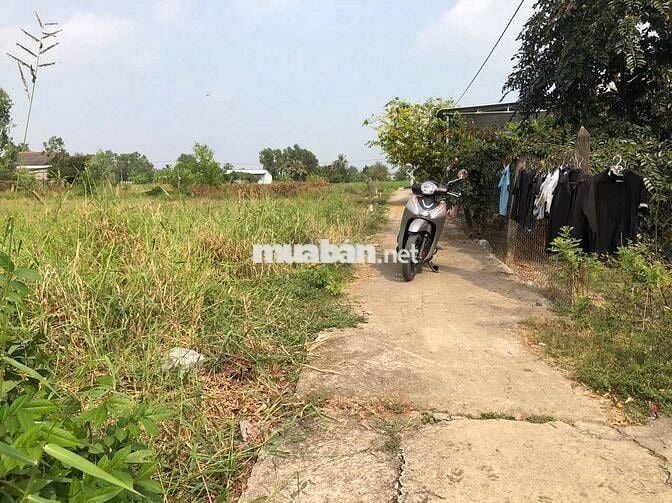 265m2 ngang 7met, hướng Nam, ở Bình Đông, thị Xã Gò Công