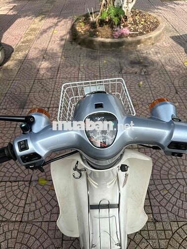 Honda Cub 50cc Xanh zin đẹp vĩnh long