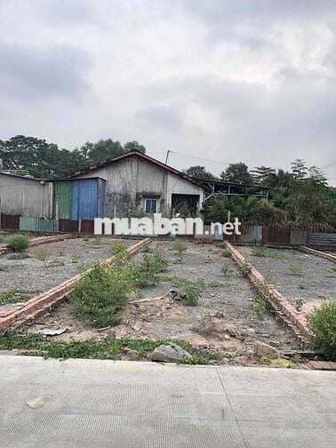 BÁN ĐẤT GẦN KCN VSIP 1 - P. AN PHÚ, THUẬN AN 62,6M2  GIÁ 2,6 TỶ