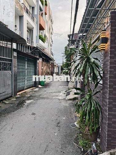 Cho thuê nhà 20/5 đường số 8, p11, gò vấp