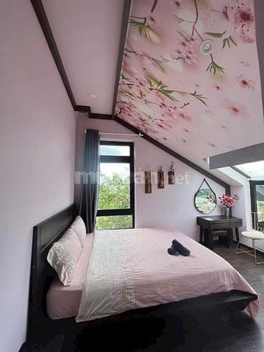 Bán căn Villa Homestay Săn Mây Ngay Nguyễn Siêu. DT 228m2, Hoàn Công