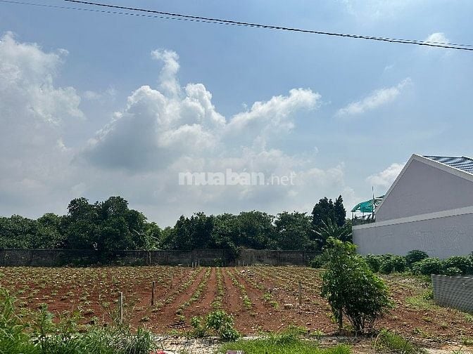 CÔNG TY ĐẤU GIÁ HỢP DANH MINH PHÁP THÔNG BÁO ĐẤU GIÁ TÀI SẢN