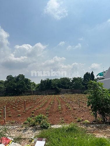 CÔNG TY ĐẤU GIÁ HỢP DANH MINH PHÁP THÔNG BÁO ĐẤU GIÁ TÀI SẢN