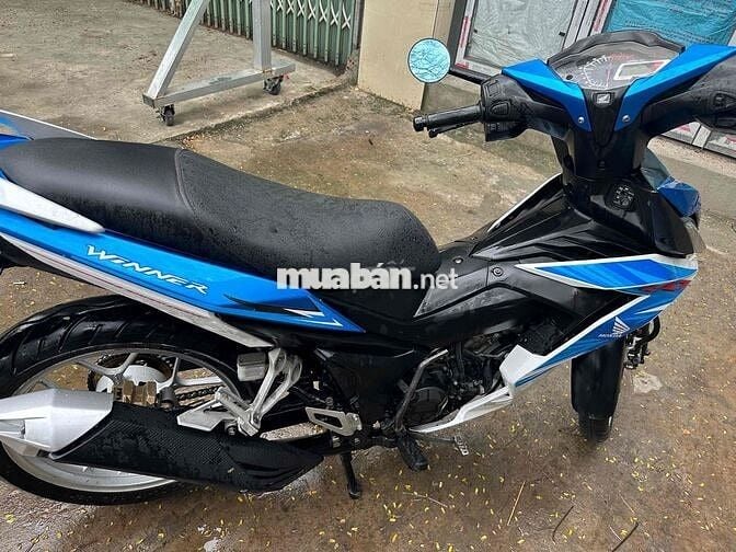 winer biển số tp chính chủ