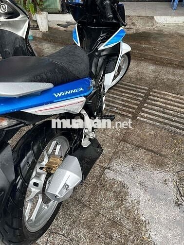 winer biển số tp chính chủ