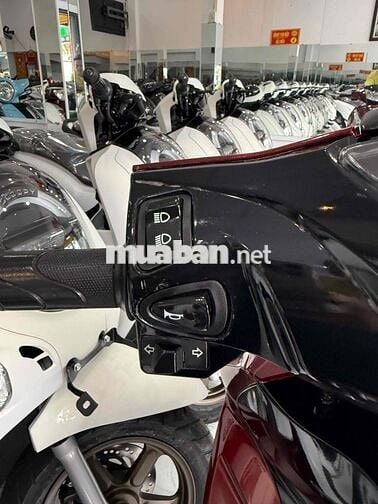 FUTURE 2024 - Zin Cọp - Áo Trùm Keo - Như Mới