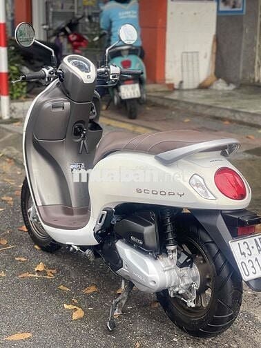 Honda Scoopy 2024 Trắng