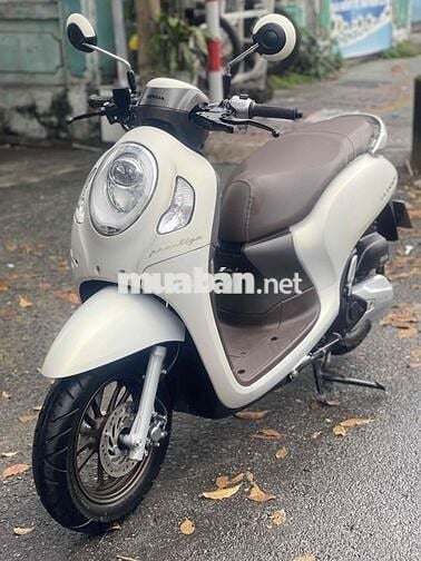 Honda Scoopy 2024 Trắng