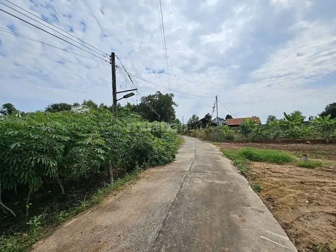 Công ty Đấu giá hợp danh Lam Sơn Sài Gòn THÔNG BÁO ĐẤU GIÁ TÀI SẢN