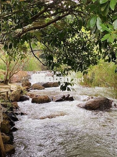 Cần bán mảnh vườn đẹp, không khí trong lành, vị trí cực kỳ tiềm năng