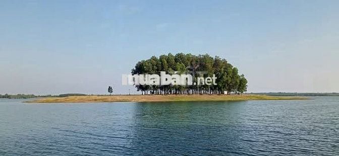 Cần bán mảnh vườn đẹp, không khí trong lành, vị trí cực kỳ tiềm năng