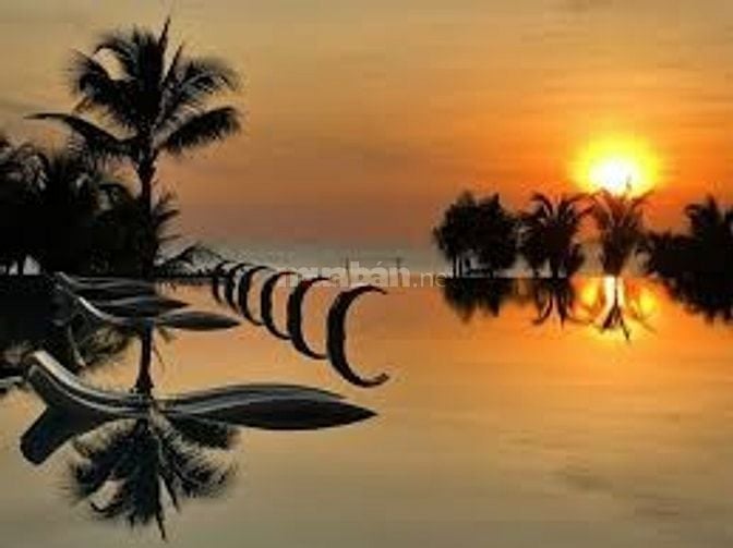 Cho thuê căn hộ theo ngày, tuần, tháng