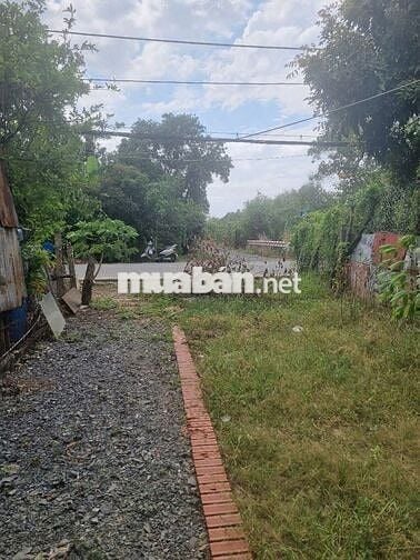 Bán nhà cấp 4 mặt tiền đường rộng 30m, khu dân cư hiện hữu