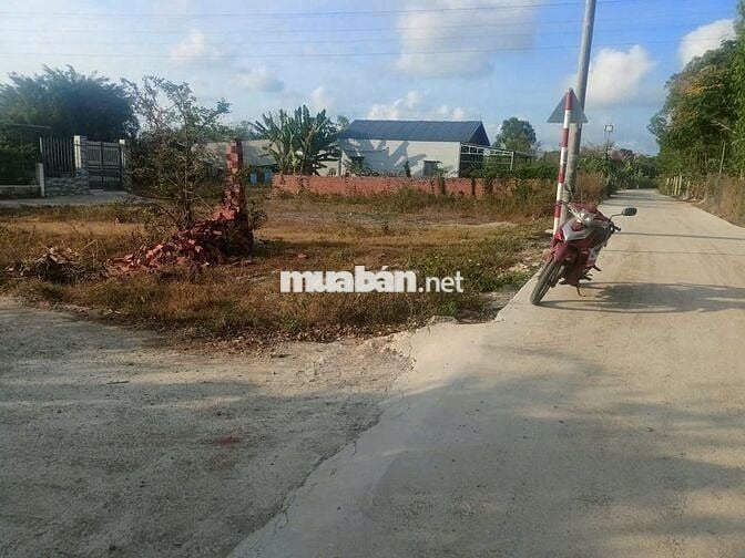 BÁN ĐẤT Chính Chủ 250m2 1ty799 TL SỔ SẴN SANG TÊN CÔNG CHỨNG NGAY