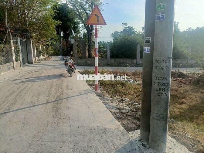 BÁN ĐẤT Chính Chủ 250m2 1ty799 TL SỔ SẴN SANG TÊN CÔNG CHỨNG NGAY