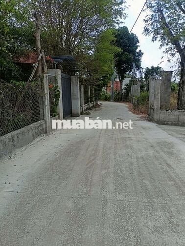 BÁN ĐẤT Chính Chủ 250m2 1ty799 TL SỔ SẴN SANG TÊN CÔNG CHỨNG NGAY