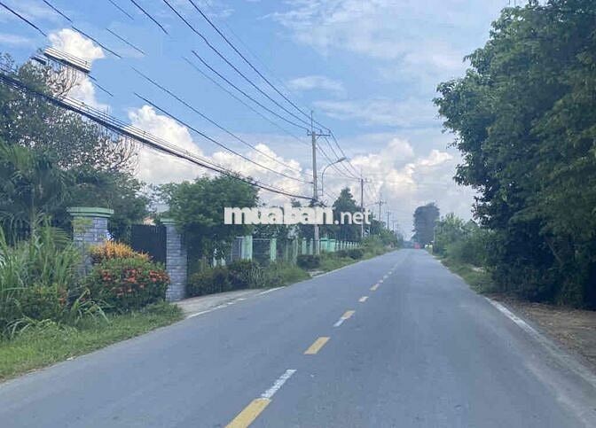 Lô đất đẹp Thái Mỹ 10x21 –Shr, giá mềm, phù hợp an cư & đầu tư dài hạn