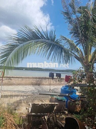 Bán nhà cấp 4 mặt tiền đường rộng 30m, khu dân cư hiện hữu