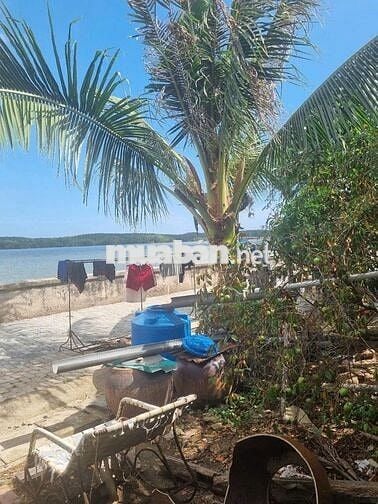 Bán nhà cấp 4 mặt tiền đường rộng 30m, khu dân cư hiện hữu