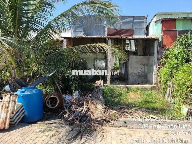 Bán nhà cấp 4 mặt tiền đường rộng 30m, khu dân cư hiện hữu