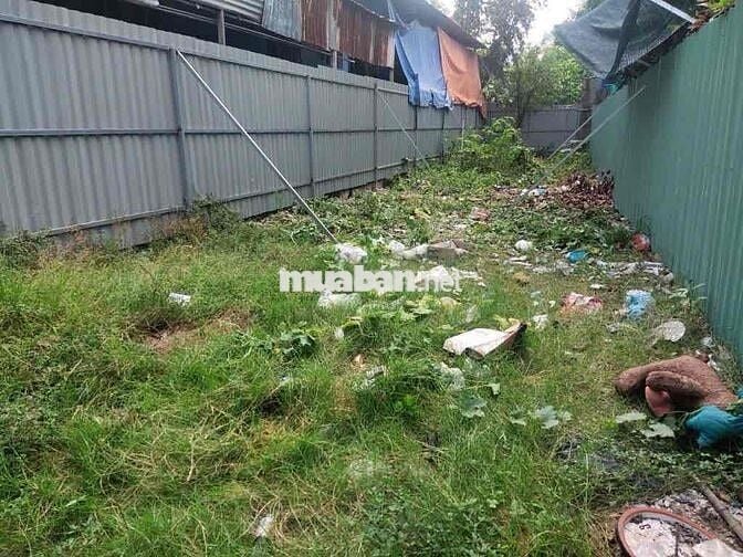 Đất 116m² Q7 – Sổ Mới 2025 – Đất Trống, Tiện Xây Căn Hộ Dịch Vụ/Cho Th