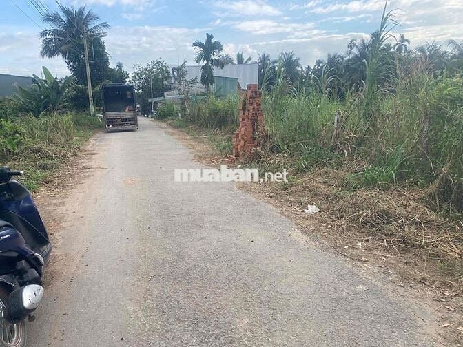 chính chủ bán nhà xưởng nhi Bình (5x50 ) fun thổ giá 5 ty 7