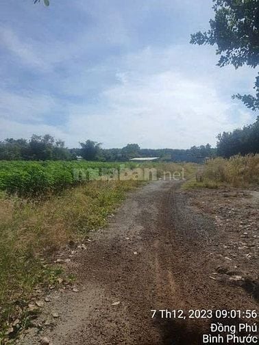 Công ty Đấu giá hợp danh Lam Sơn Sài Gòn THÔNG BÁO ĐẤU GIÁ TÀI SẢN