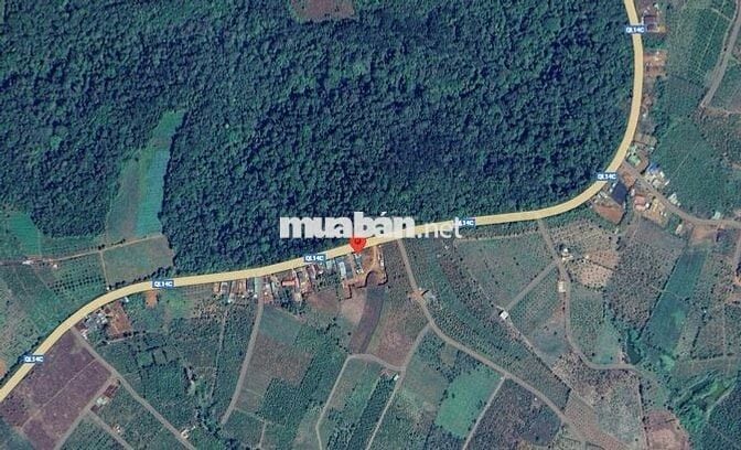 Bán 1 ha Đất Mặt Tiền Quốc Lộ 14C -  Đất Trồng Kín Tiêu - Giá 1,68 Tỷ