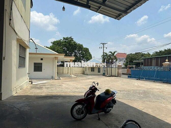 Cho thuê nhà xưởng 3000m Thuận An