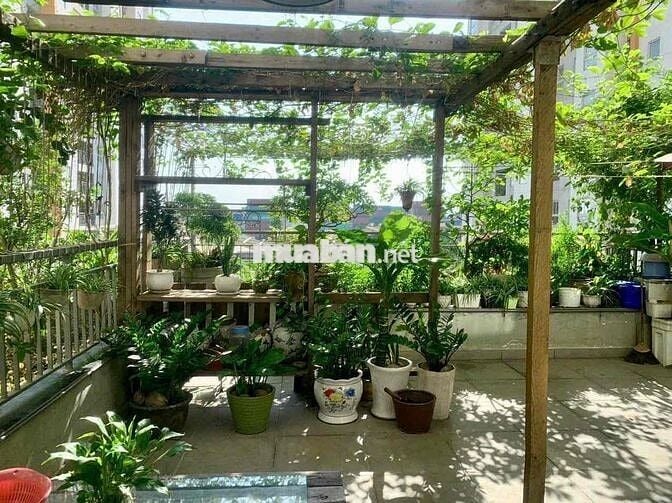 Cần bán căn hộ Samsora sân vườn giá tốt