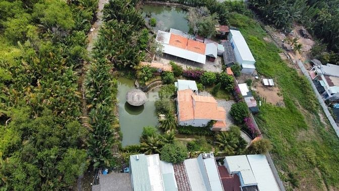 Đất thổ nhà vườn Đại Phước Nhơn Trạch giá rẻ, MT đường,SR chính chủ