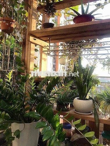 Cần bán căn hộ Samsora sân vườn giá tốt