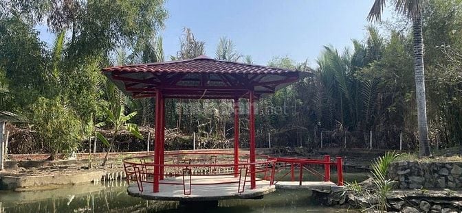 Đất thổ nhà vườn Đại Phước Nhơn Trạch giá rẻ, MT đường,SR chính chủ