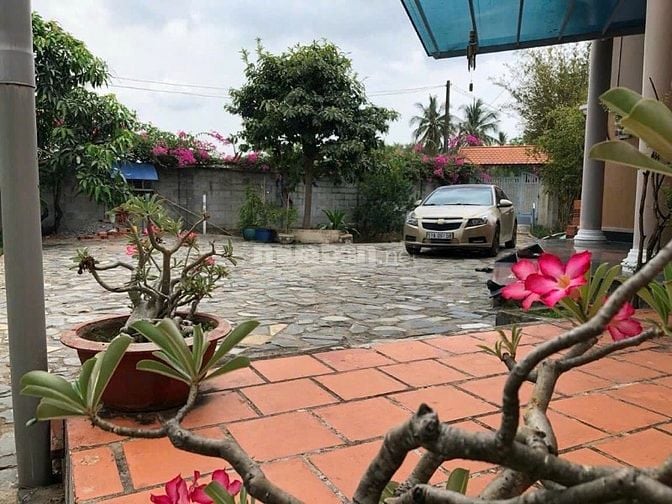 Đất thổ nhà vườn Đại Phước Nhơn Trạch giá rẻ, MT đường,SR chính chủ