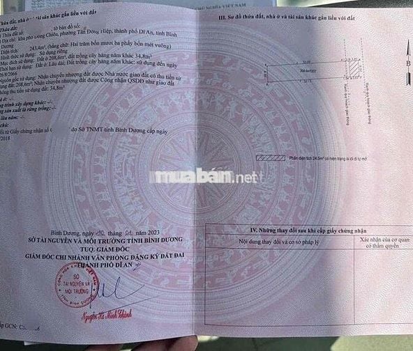 Đât 243,4m2 (ngang 6,5m) gần ngã 3 Cây Điệp,Tân Đông Hiệp,TP Dĩ An