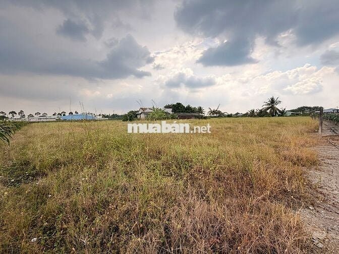 Đầu tư siêu phẩm đất vườn Châu Thành – Tiềm năng tăng giá cao