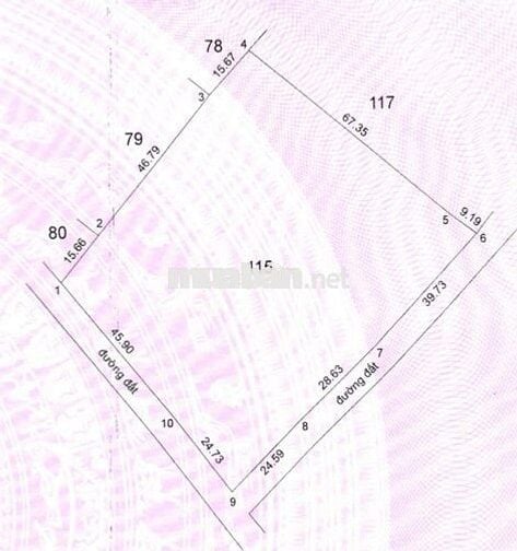 Đầu tư siêu phẩm đất vườn Châu Thành – Tiềm năng tăng giá cao